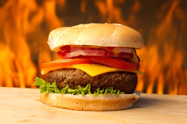 The Best Burgers