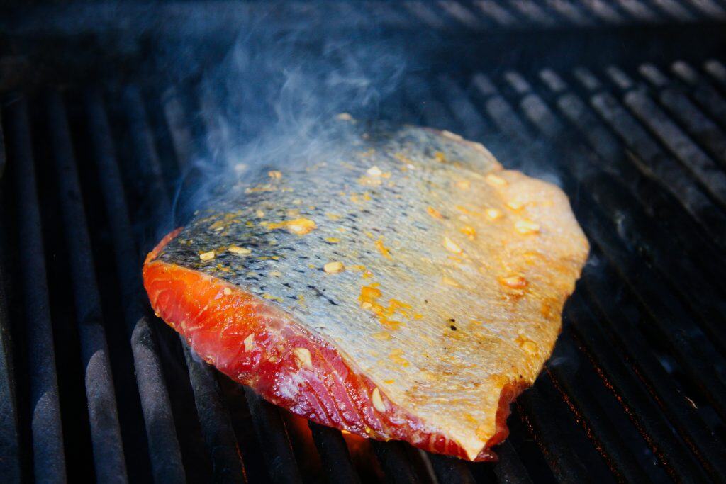Chefstemp Salmon Grill Chefstemp Salmon Grill