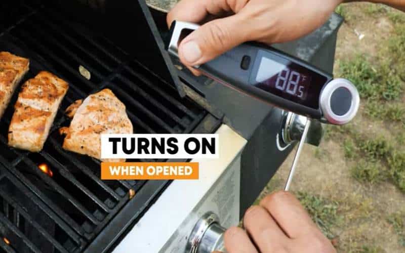 salmon burger ideal temperature
