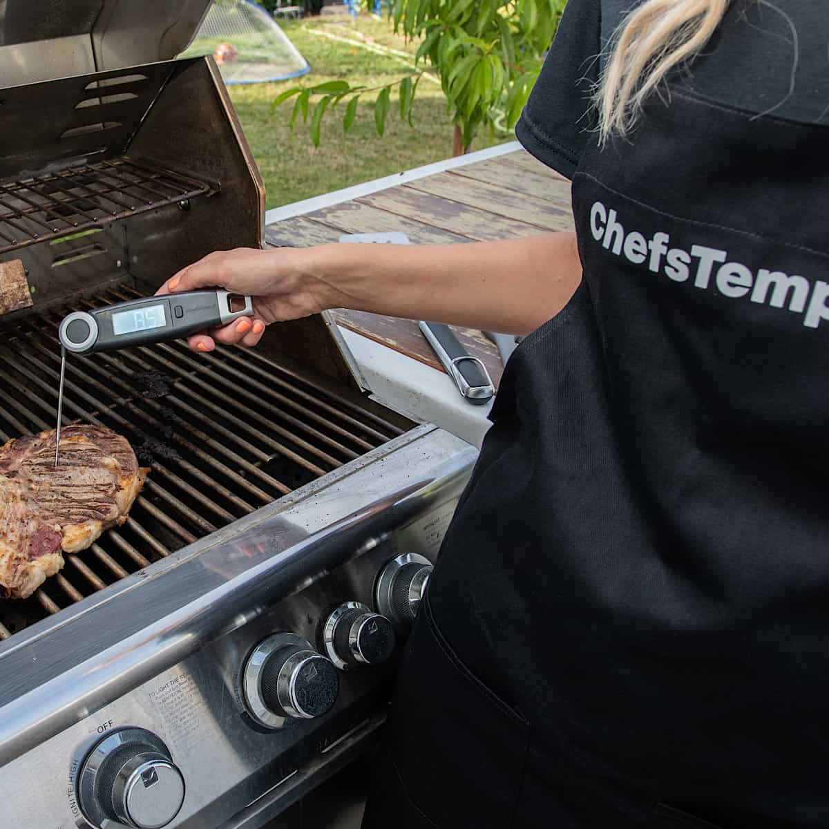 Dash Precision Meat Thermometer now up to 68% off at new $13 low, plus more  from $10