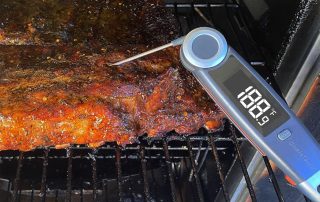 Chefstemp-BBQ Pork Ribs