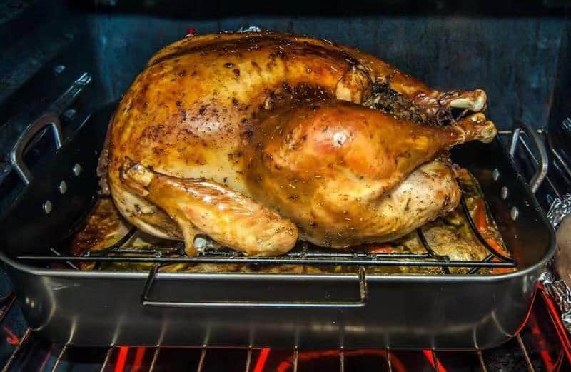 Chefstemp Finaltouch X10 - roast turkey