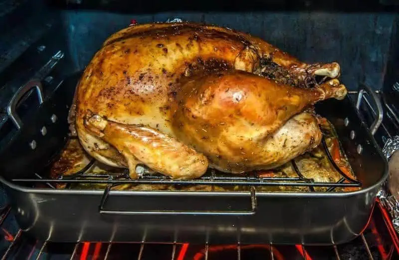 Chefstemp Finaltouch X10 - roast turkey