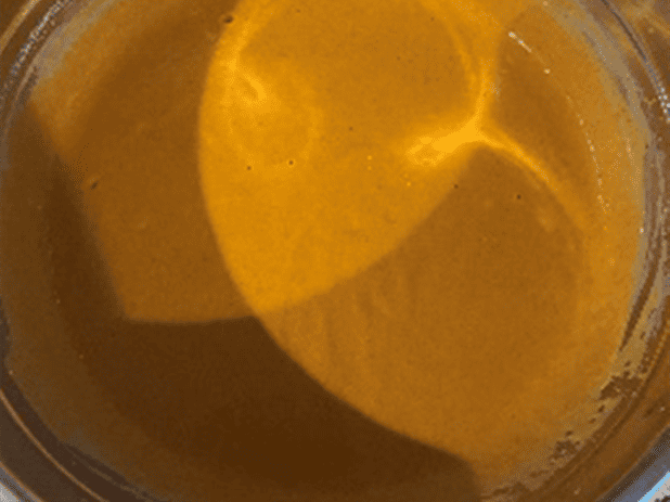 Chefstemp-make pumpkin pie Chefstemp-make pumpkin pie