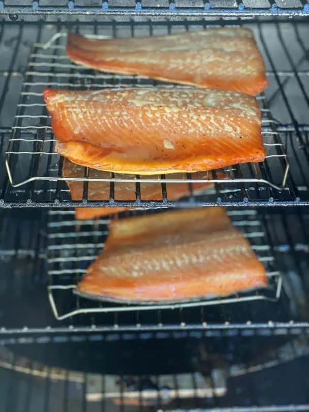 how-to-smoke-salmon-Chefstemp