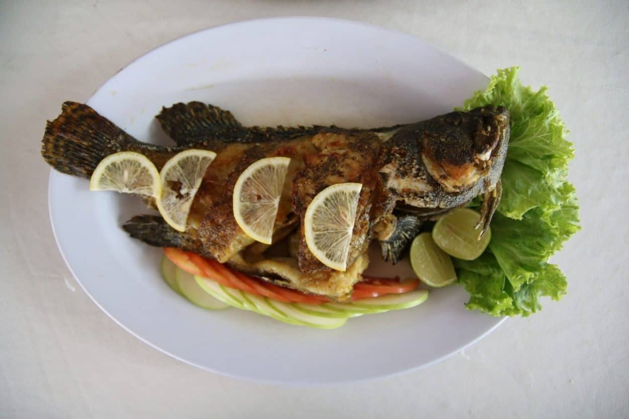 seafood internal temperature-Chefstemp seafood internal temperature-Chefstemp