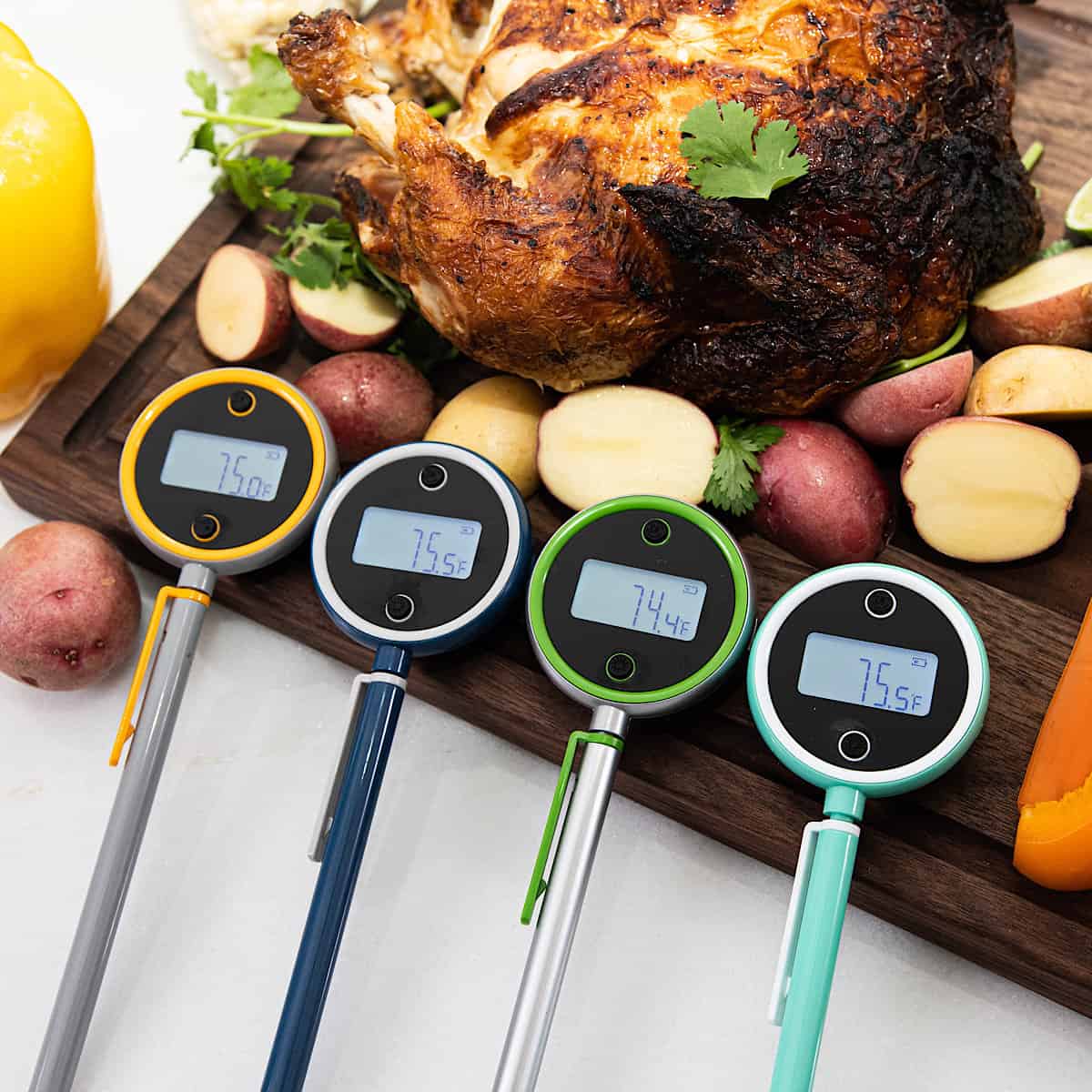 ThermoPro TP19 Waterproof Digital Probe Meat Thermometer in the Meat  Thermometers department at