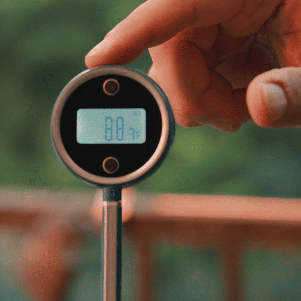 Amazing Digital Meat Thermometer! On  