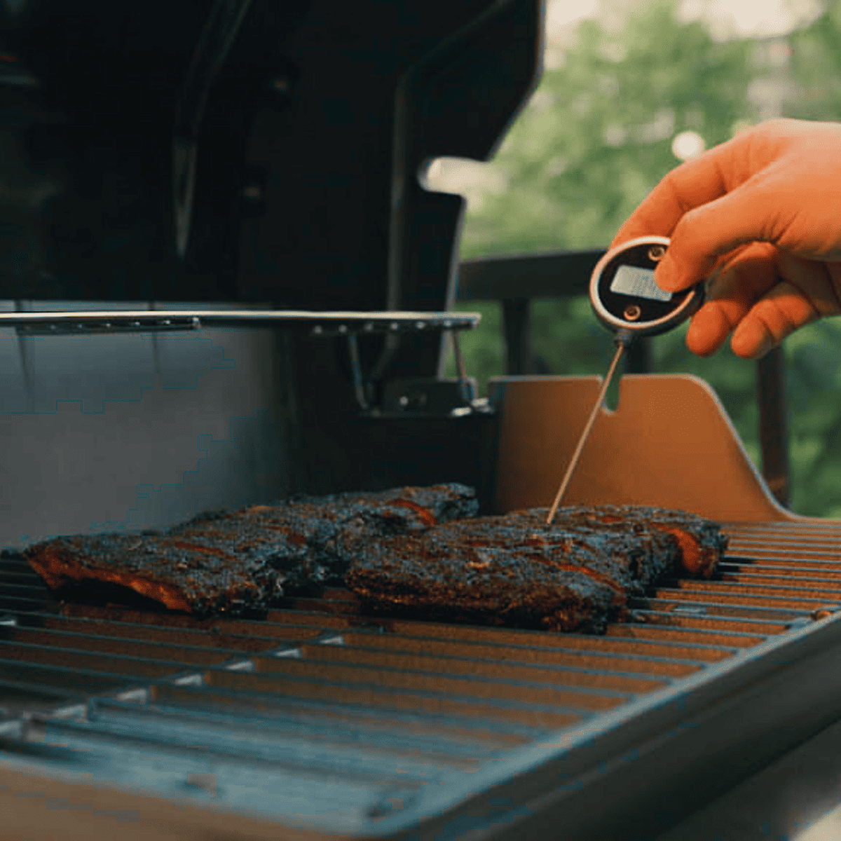 6 Best Meat Thermometers For Grilling, According To Chefs