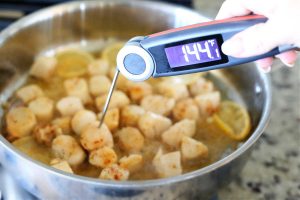 chefstemp meat thermometer
