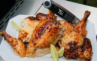 Types of Kitchen Thermometers