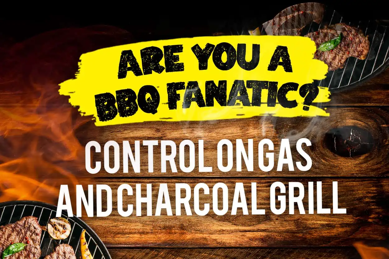 Are You a BBQ Fanatic