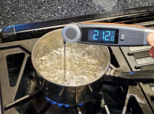 ChefsTemp Finaltouch X10 Thermometer ChefsTemp Finaltouch X10 Thermometer