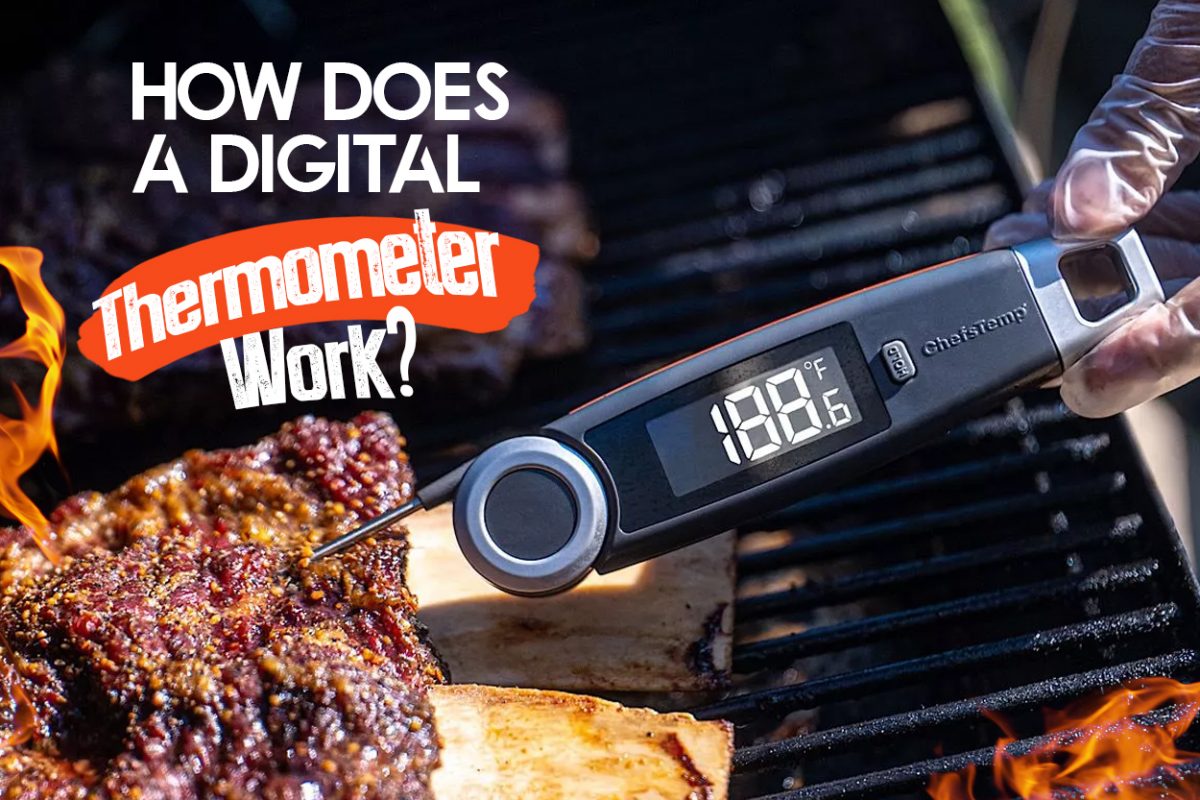 How Does a Digital Thermometer Work Circuit Diagram