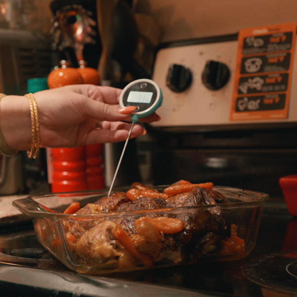 Meat Thermometers 101: Buyer's Guide – Lid & Ladle