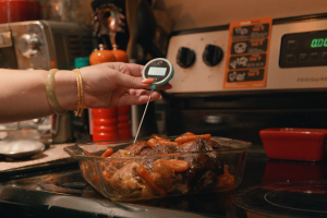 chefstemp pocket pro thermometer