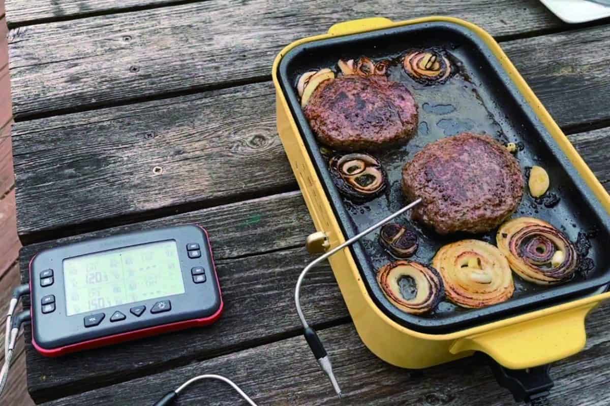 Best Grill Thermometer to Use in Your Kitchen Chefstemp