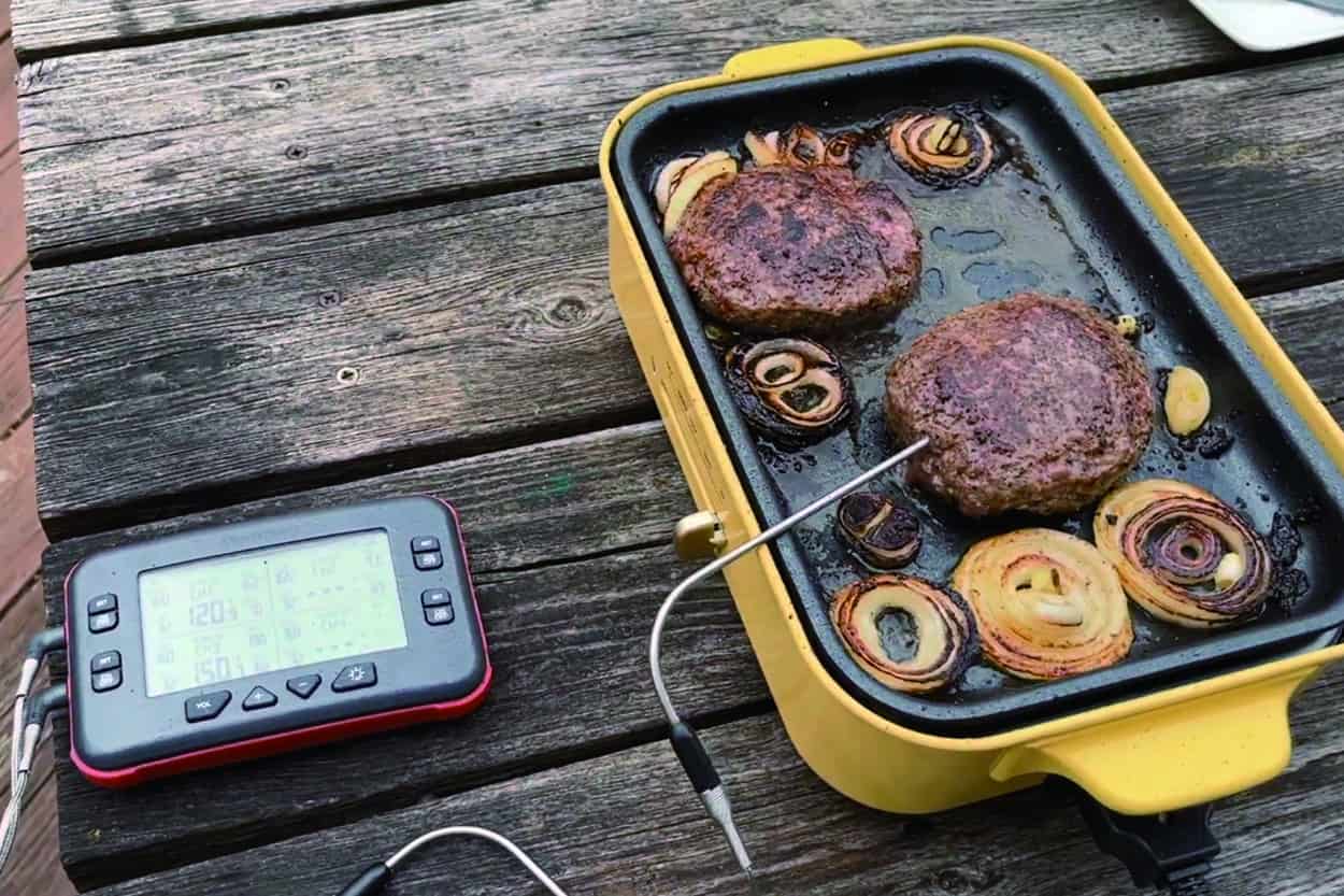 Best Grill Thermometer