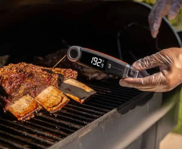 Best instant on sale read thermometer