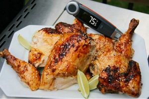 ChefsTemp Care and Maintenance Tips for Using your Kitchen Thermometer Accurately