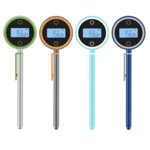 ChefsTemp The Biggest Mistakes You Make When Using an Instant Read Thermometer