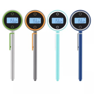 ChefsTemp The Perfect Guide on How to Make Burnt Pork Belly