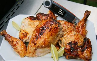 ChefsTemp What Is the Best Meat Thermometer for Every Meat Cut