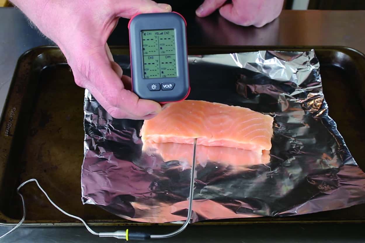 A Wireless Meat Thermometer Is the Secret to Winter Barbecuing, According  to Pitmasters