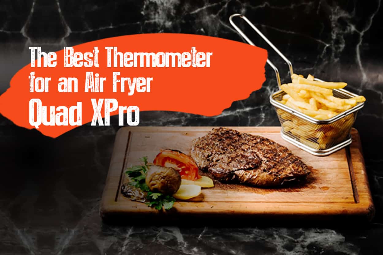 Best Thermometer Air Fryer, Quad XPro