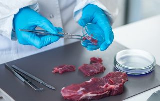 Depositphotos stock photo quality control expert inspecting meat.html S
