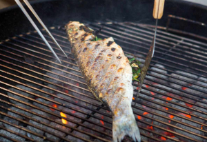 Under-grill for Perfect Fish