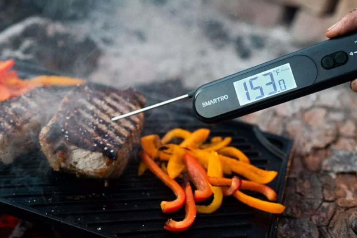 Finds: Wireless Remote Digital Thermometer (Making Grilling