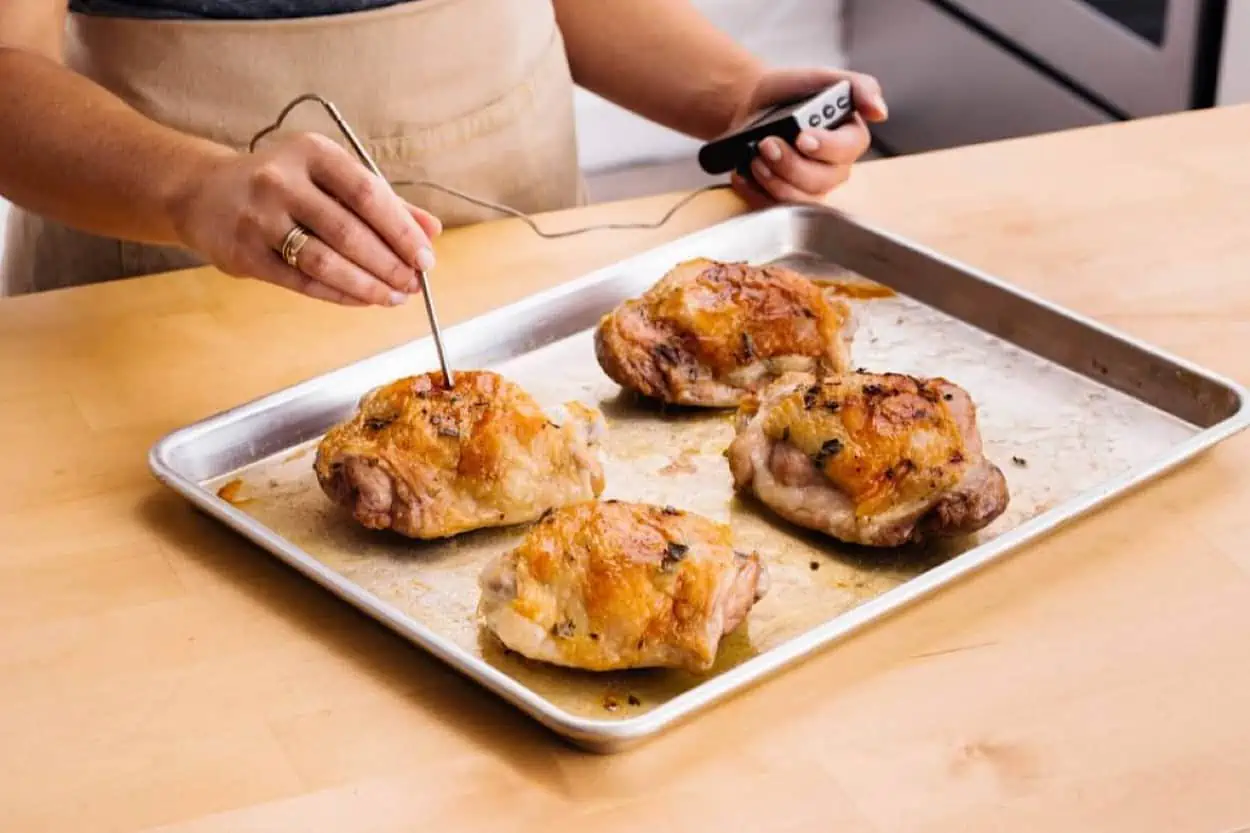 Chicken meat thermometer deals