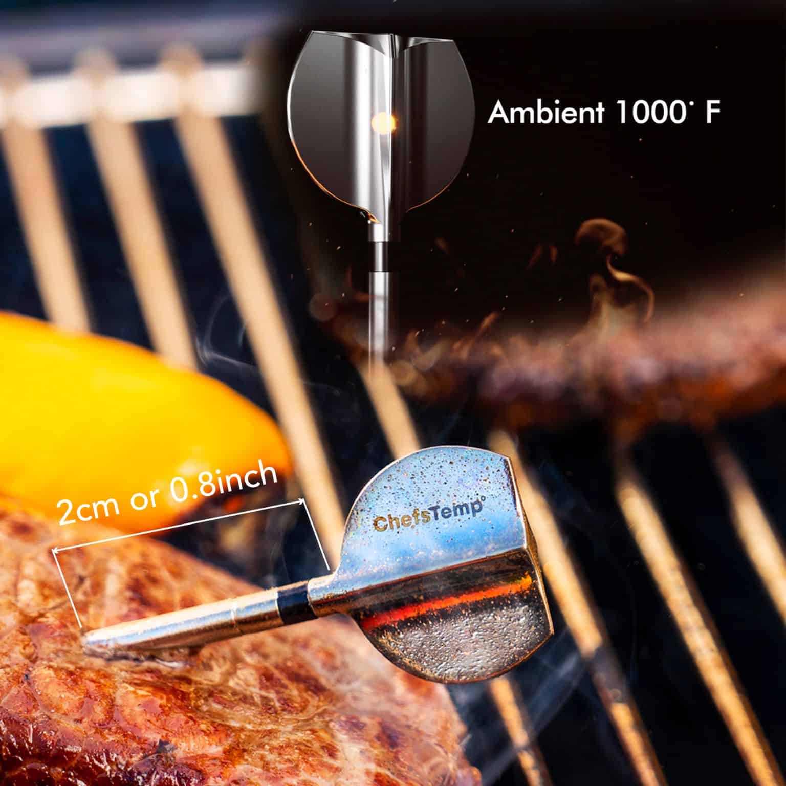 ProTemp 2 Plus Wireless Meat Thermometer | ChefsTemp