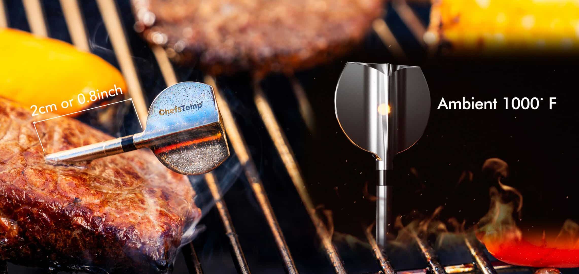 ProTemp 2 page_8 ProTemp 2 page 8 scaled