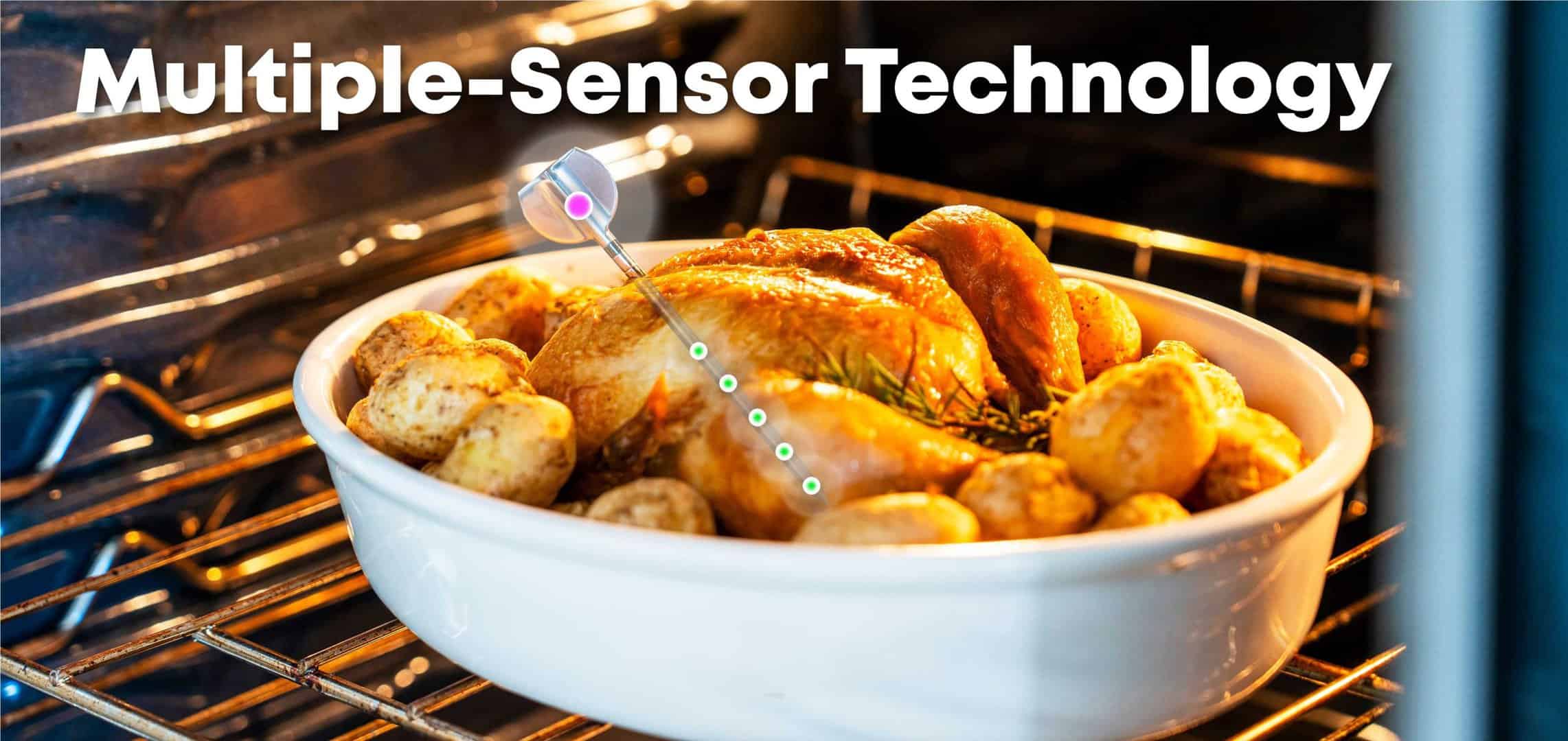 protemp 2 multiple sensors protemp 2 multiple sensors scaled