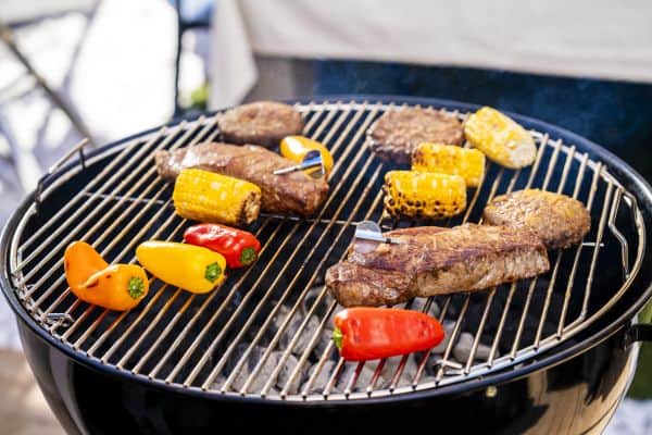 choose the best thermometer