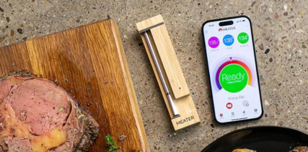 meater pro appearance