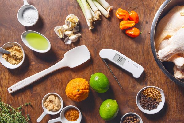 ThermoWorks Thermapen One