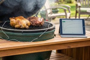 bbq-will-be-smoother-and-more-predictable-with-temperature-controller-alternatives-to-egg-genius