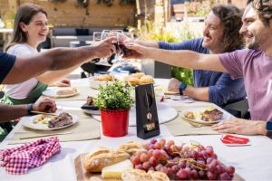 how-to-master-temperature-control-on-a-big-green-egg-thermometer-replacement