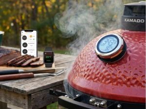 Big Green Egg Dome Thermometer Replacement and other accessories for busy cooking.