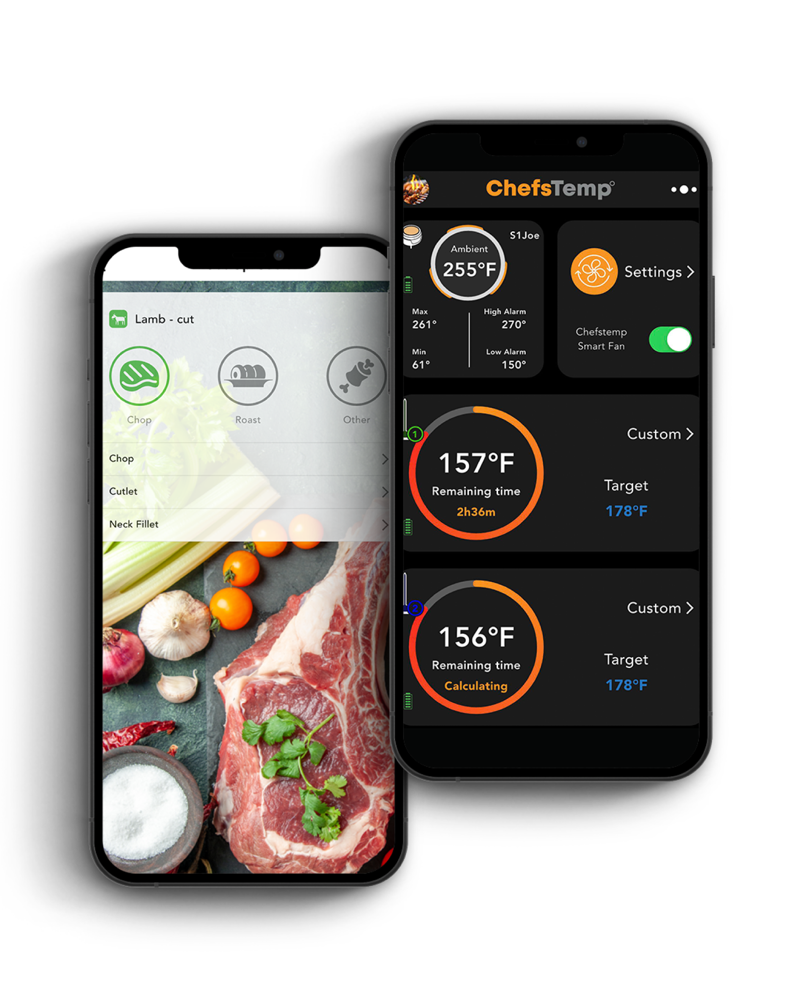 ProTemp S1 App Interface