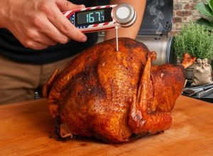 chefstemp-finaltouch-x10