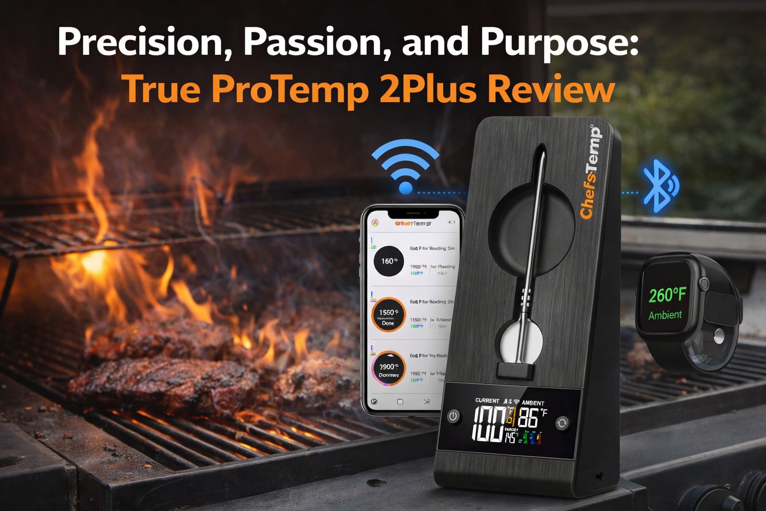 True ChefsTemp ProTemp 2 Plus Review