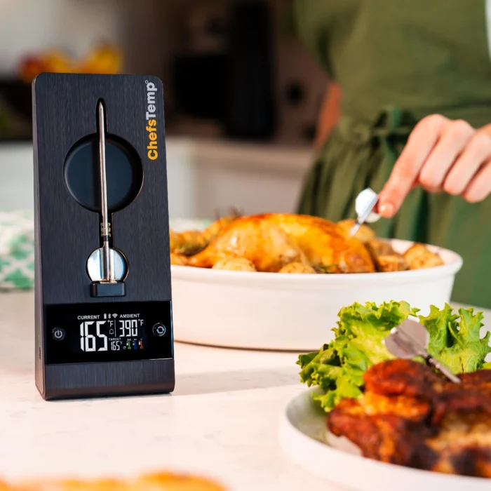 ProTemp 2 Plus - chefstemp