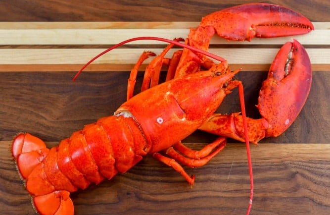 Lobster on table