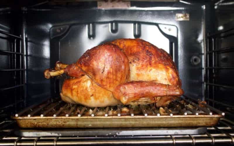 where to place thermometer in turkey guide